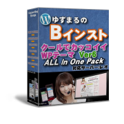 ブログインストールツール Bインスト＆クールでかっこいいWPテーマVer.6 All In One Pack